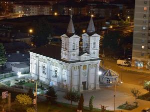 Di Bacau